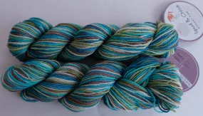 Blue Sky Fibers, Fine, stripey (Spud and Chloe)